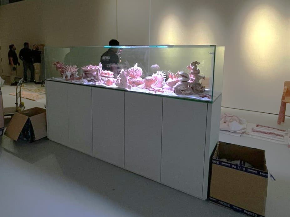 Seamless Coral Tank - Image 1 on card